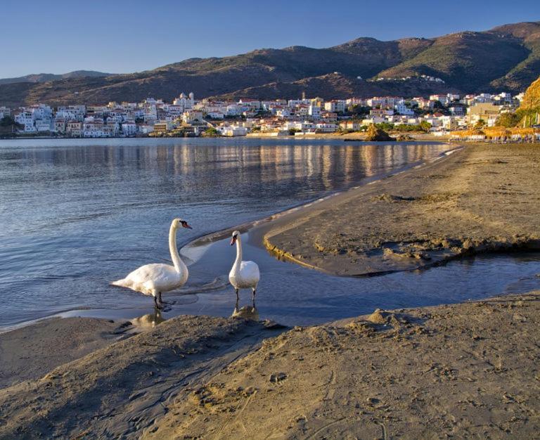 Πλατανακι 2 Seaview Apartment Ándros Buitenkant foto